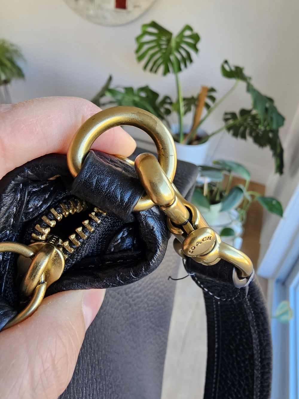 Coach Cary Crossbody - Picture 7 of 13